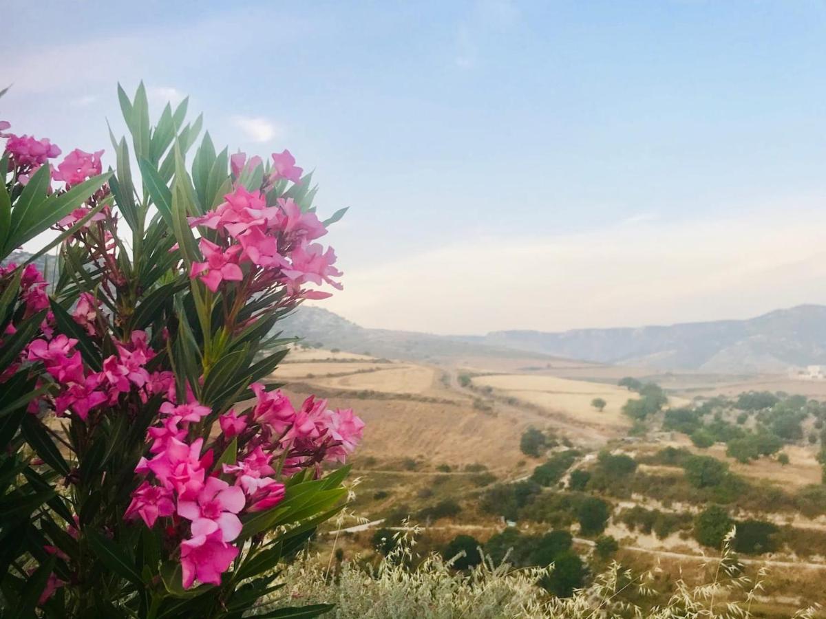 Panoramic Holidays Peyia Dış mekan fotoğraf